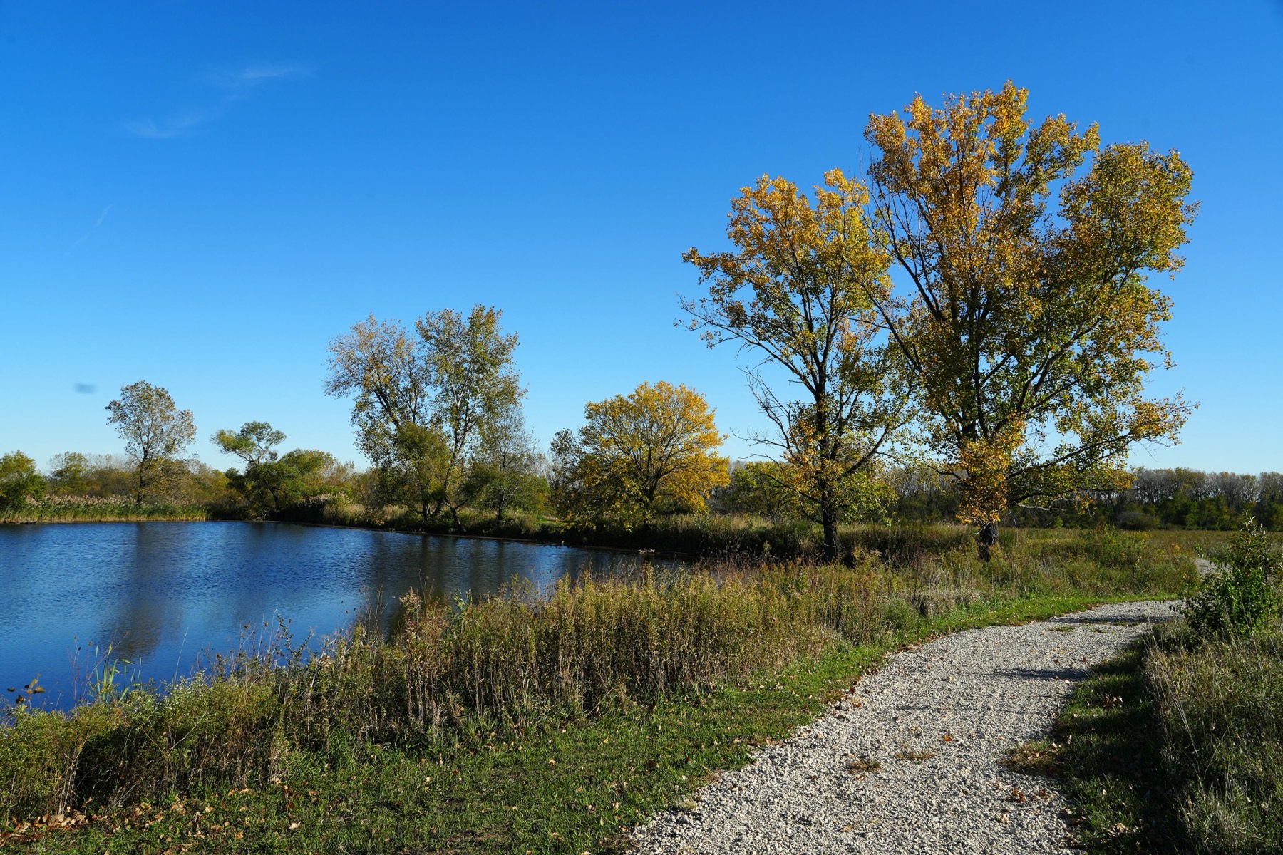 Midewin National Tallgrass Prairie