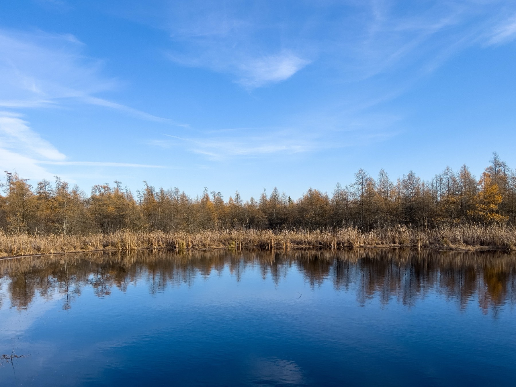 Volo Bog State Natural Area